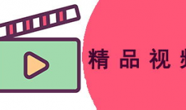 精品国产视频种子,探寻精品视频种子的魅力之旅