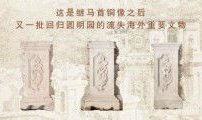 九一精品国产免费,匠心独运，品质卓越的国产佳作巡礼