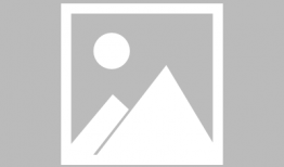 班马交配视频,自然繁衍的珍贵瞬间