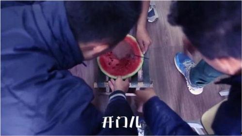 吃瓜娱乐奇葩视频,笑料百出!盘点那些让人捧腹大笑的吃瓜娱乐奇葩视频