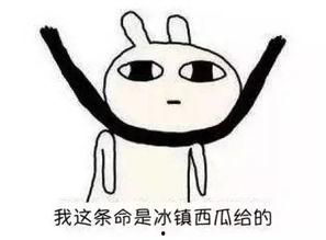 吃瓜群众都知道的娱乐