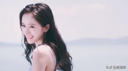 娱乐圈吃瓜群众小说